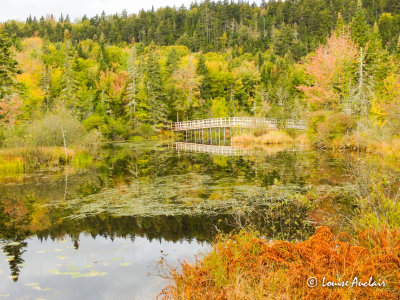 Marais du Nord