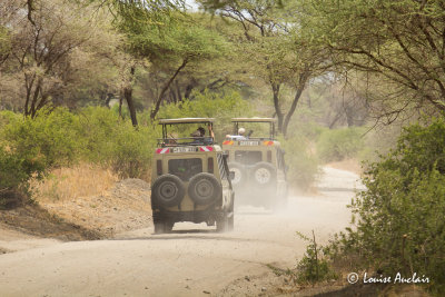 Route du parc Tarangire