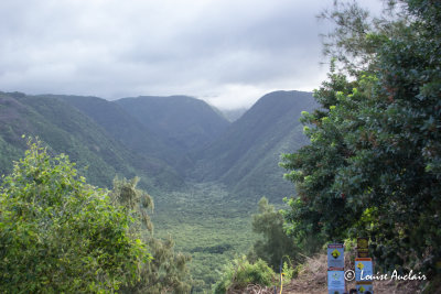 Pololu Valley lookout