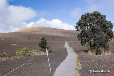 Devastation trail