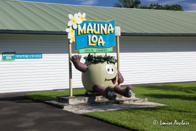 Mauna Loa noix de Macadamia