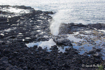 Spouting Horn