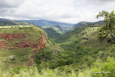 Hanapepe Valley Lookout