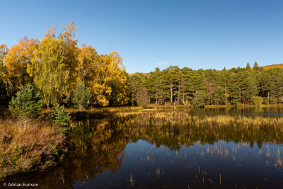 g10/59/1163459/3/168614236.R7fqXeYp.jpg
