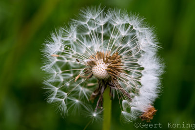 _5D37668.jpg