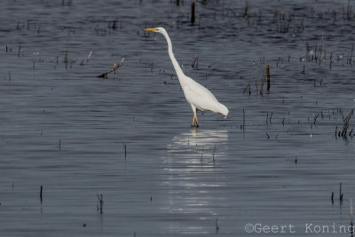 IMG_0841.JPG