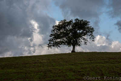 CRW_6013.jpg