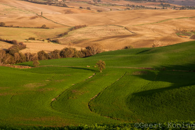 CRW_6220.jpg