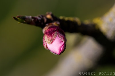 _5D33168.JPG