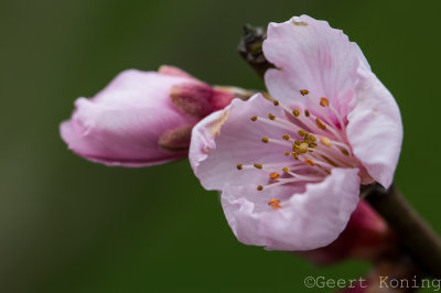 _5D33279.JPG