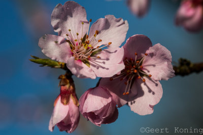 _5D33366.JPG