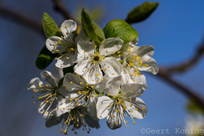 _5D33672.jpg