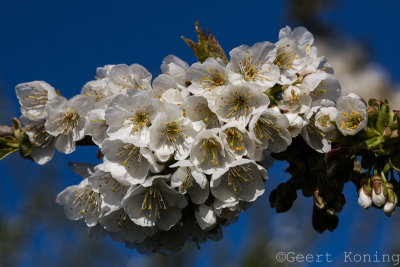 _5D33772.jpg