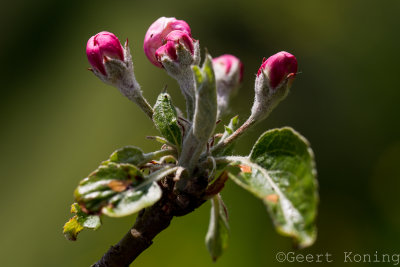 _5D34497.jpg
