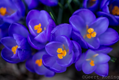 _5D33118.JPG