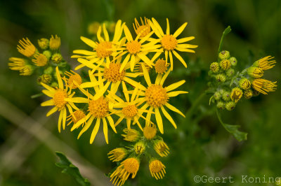 _5D30609.JPG