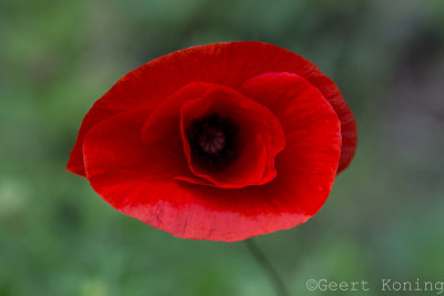 _5D30419.JPG