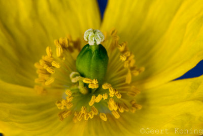 _5D39560.JPG