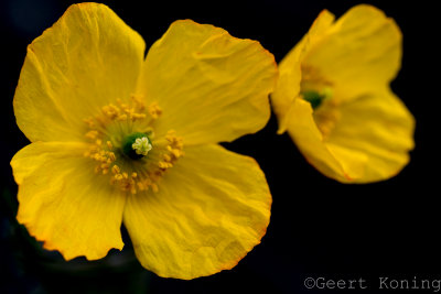 _5D39577.JPG