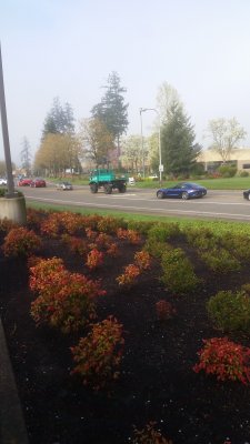 Cars and Coffee Portland