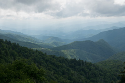 lx100__7140728.jpg