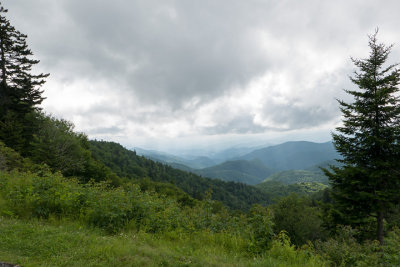 g10/59/487259/3/165804586.3cSDK4eK.jpg