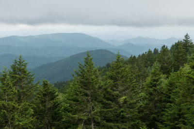 North Carolina July 2017