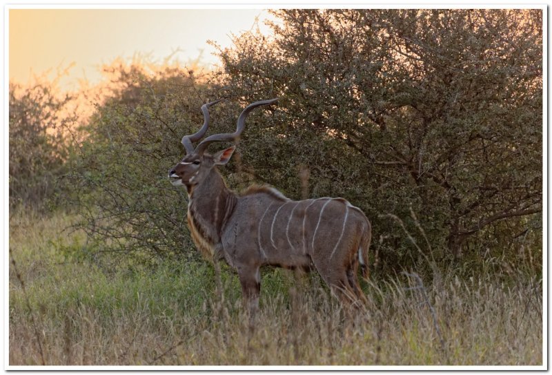 RLL_6095_DxO.jpg