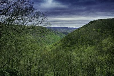 Babcock State Park