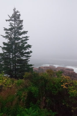 Maine September 2017 -133.jpg