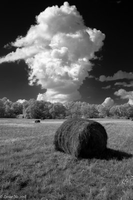 Hay Field & Cloud in Infrared