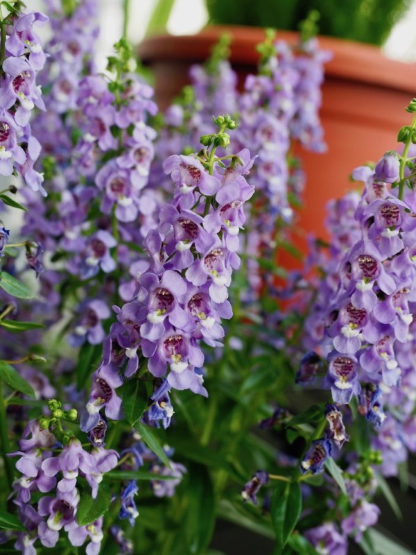 PA252728.jpg