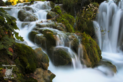 Acqua,Water