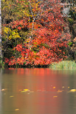 Colori autunnali, Autumn colors