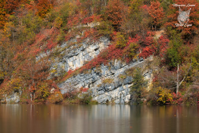 Colori autunnali, Autumn colors