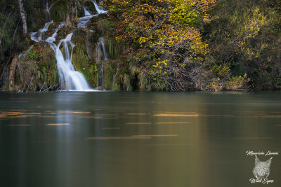 Cascata,Waterfall