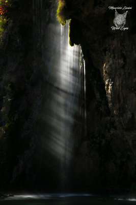 Controluce,Backlight