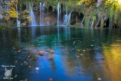 Cascata,Waterfall