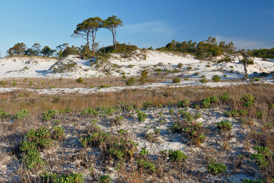 St. George Island State Park