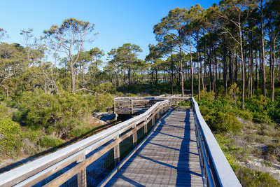 St. George Island State Park