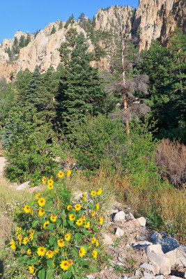 Cimarron Canyon State Park