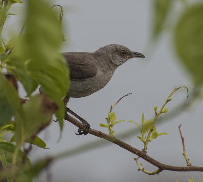 DSC_6853.jpg