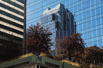 _DSC7500.jpg