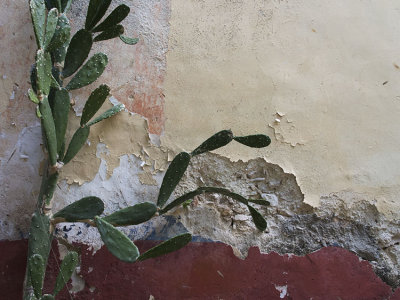P2070038.jpg