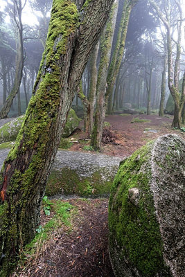 Sintra's Mountain