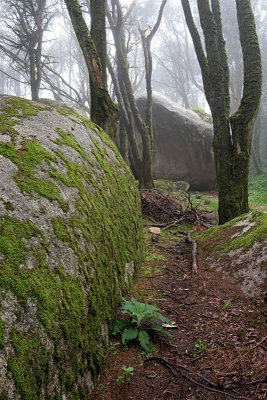 Sintra's Mountain