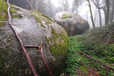 Sintra's Mountain