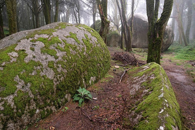 Sintra's Mountain