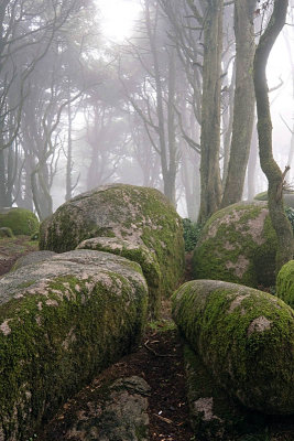 Sintra's Mountain