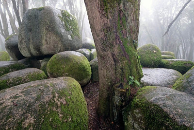 Sintra's Mountain